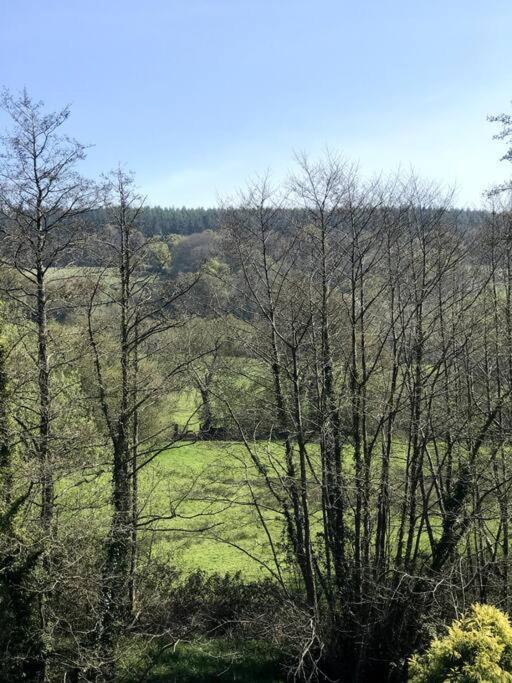 Coombe Edge Cottage Honiton Luaran gambar
