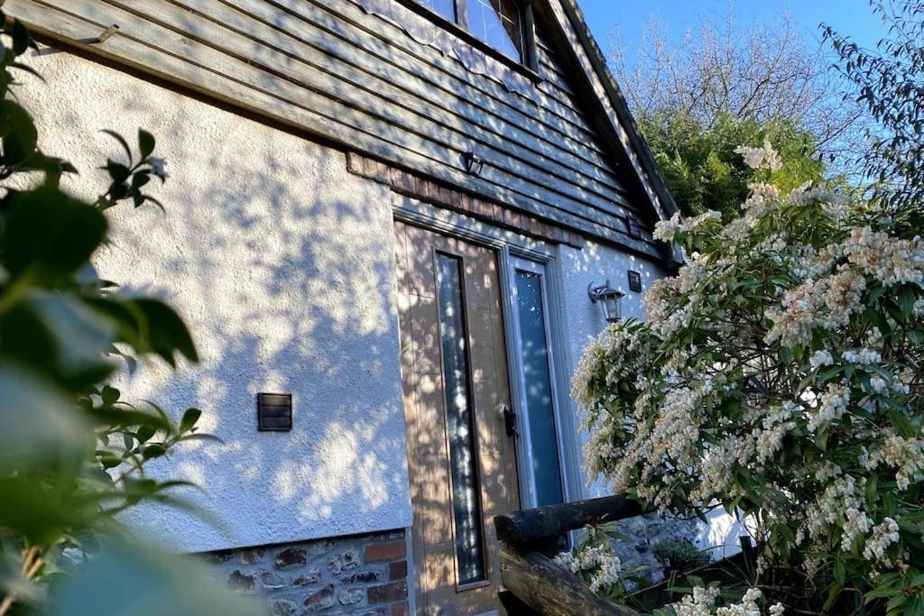 Coombe Edge Cottage Honiton Luaran gambar